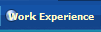 Work Experience