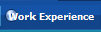 Work Experience
